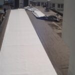 imagen2