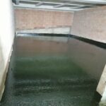 imagen21